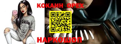 гидра Тара